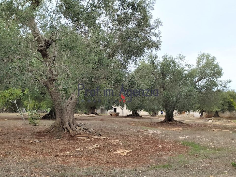 Landejendom i Ceglie Messapica, Brindisi - foto 4